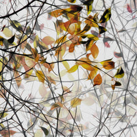 9-piece-acrylic-print-autumn-song