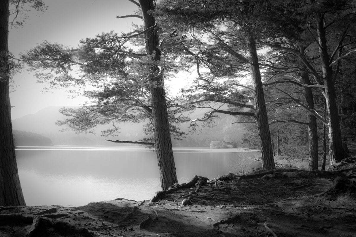 3-piece-acrylic-print-loch-an-eilein