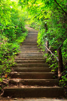 framedcanvas-print-wood-stairs