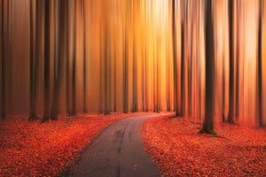 aluminium-print-path-to-unknown