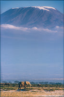 framedposter-print-kilimanjaro-and-the-quiet-sentinels