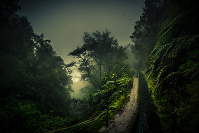 poster-print-levada-walk-x