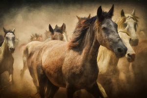 aluminium-print-painting-wild-horses