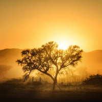 9-piece-canvas-print-golden-sunrise