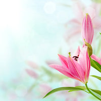 9-piece-aluminium-print-romantic-lilies