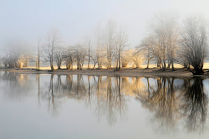 3-piece-canvas-print-january-morning