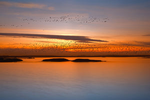 3-piece-aluminium-print-by-sunset