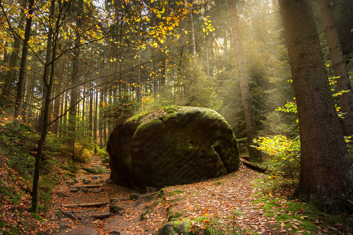 modern-3-piece-canvas-print-the-rock-in-the-forest