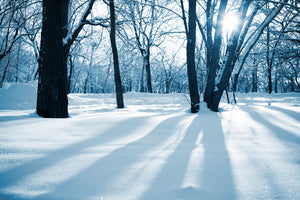 3-piece-acrylic-print-the-forest-without-tracks-in-the-snow
