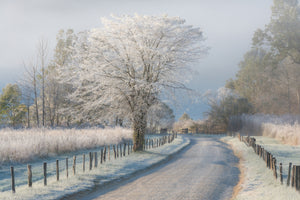 modern-3-piece-canvas-print-a-frosty-morning