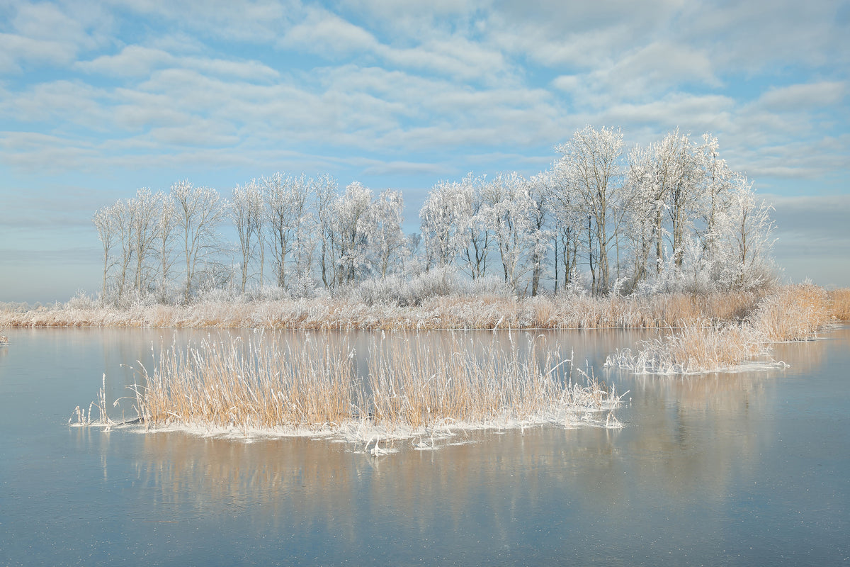 canvas-print-winter-xfq