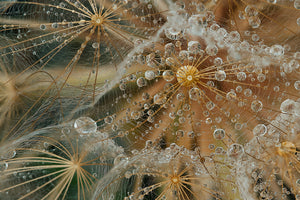 canvas-print-starless-x