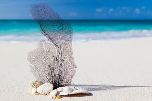 3-piece-aluminium-print-beach-art