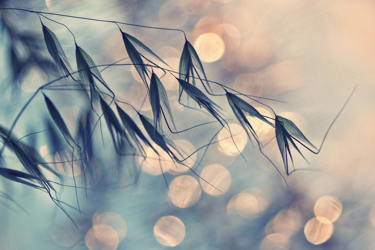 acrylic-print-straws