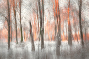 modern-3-piece-canvas-print-evening-light