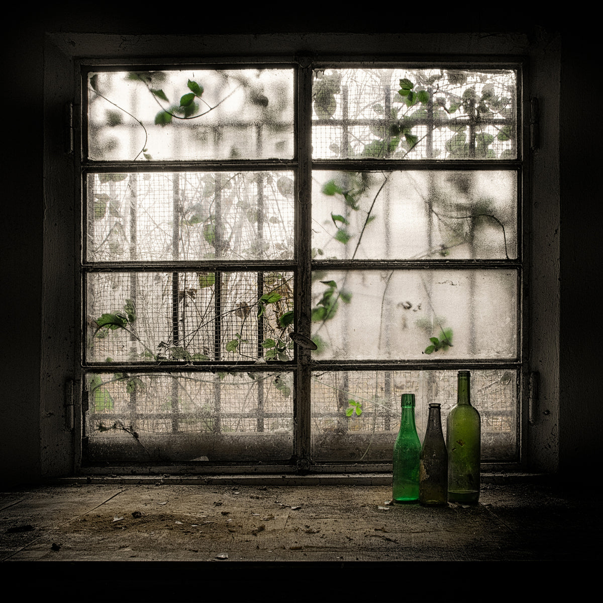 aluminium-print-still-life-with-glass-bottle