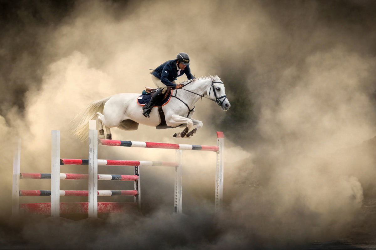 canvas-print-white-horse-x
