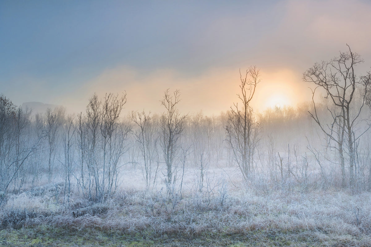 3-piece-acrylic-print-a-touch-of-winter