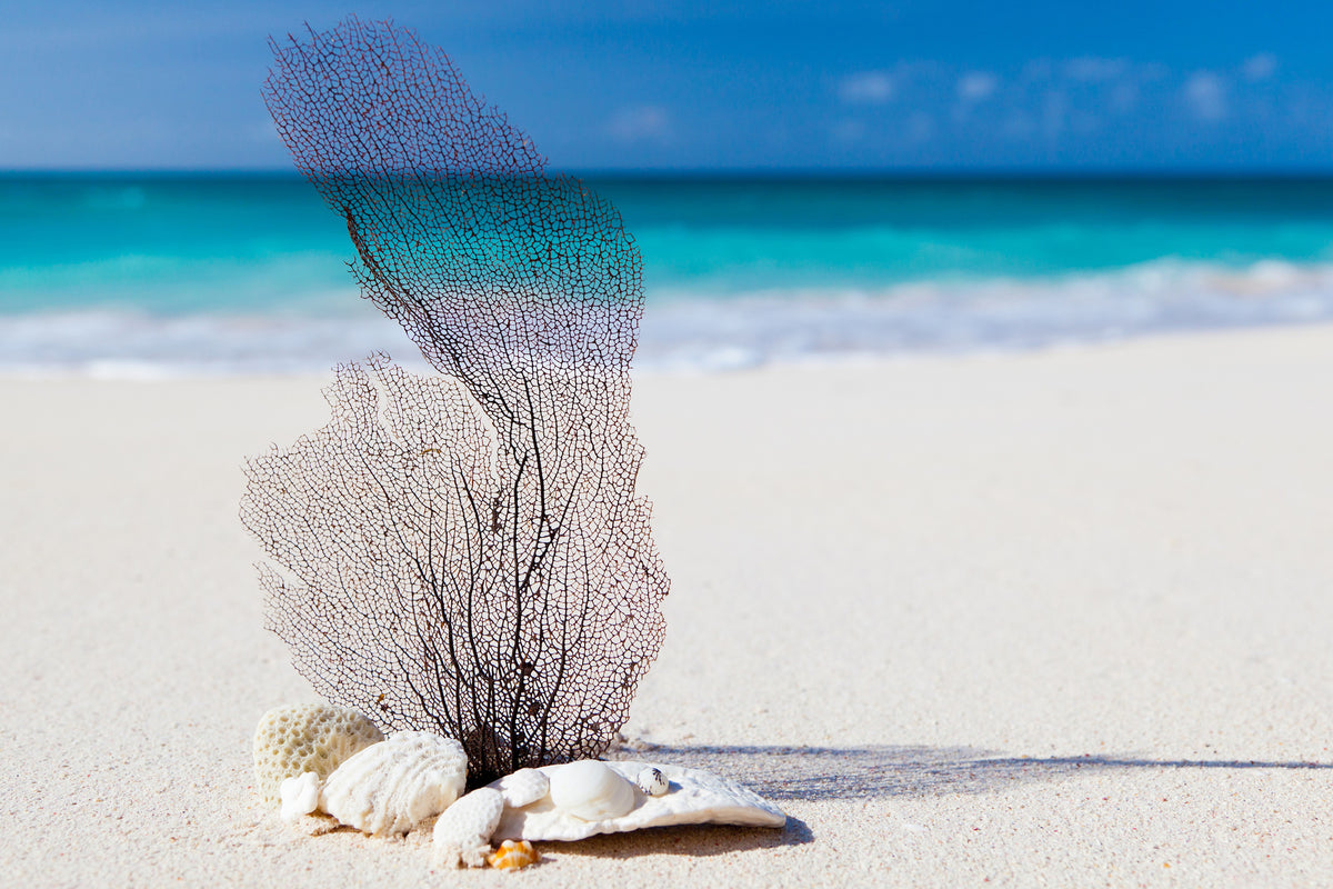 poster-print-beach-art