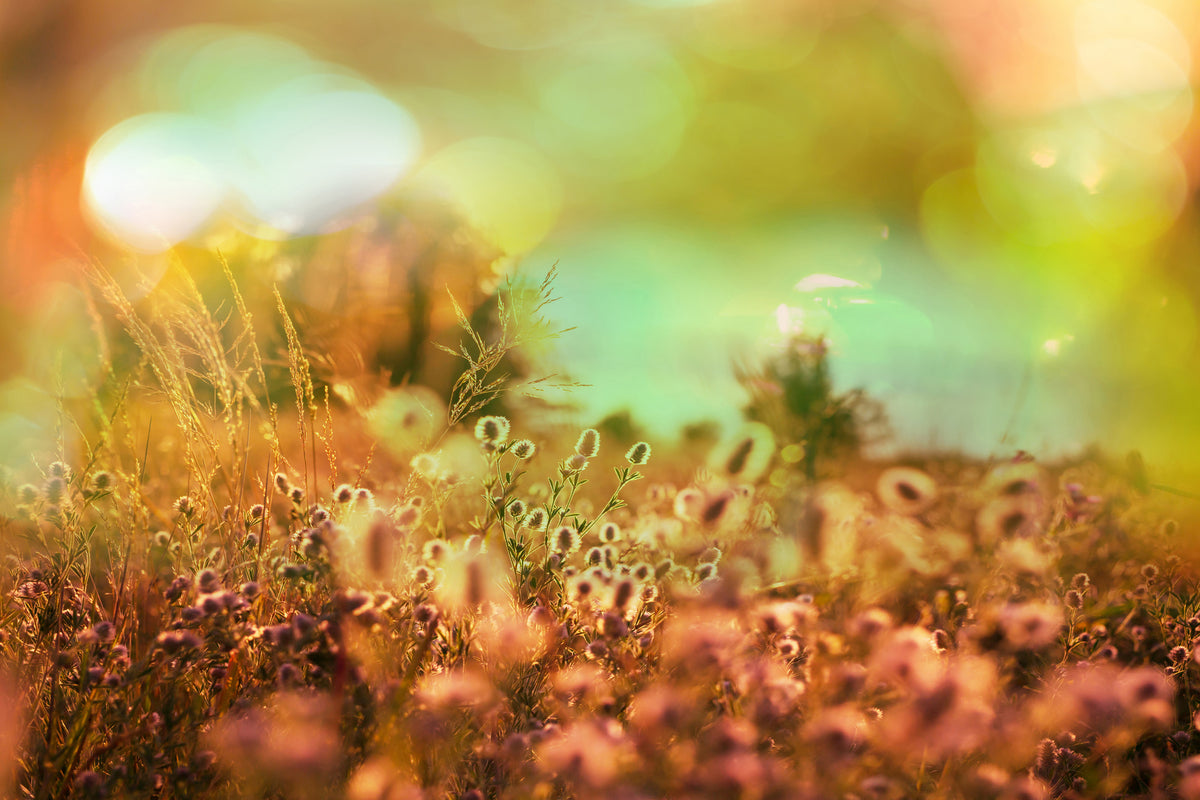modern-3-piece-canvas-print-flower-meadow-at-twilight
