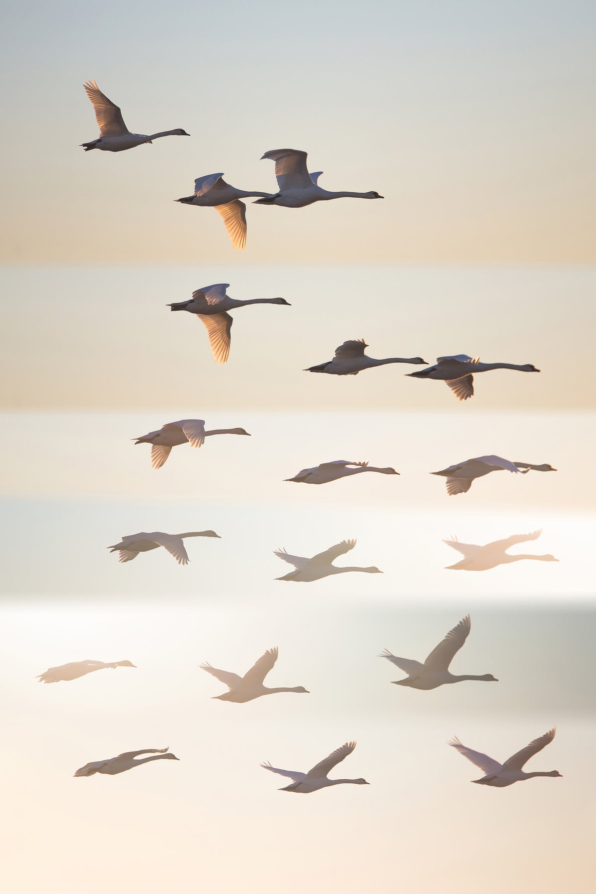 aluminium-print-past-the-sun