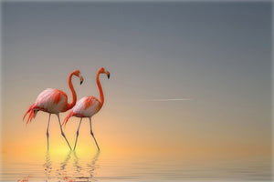 aluminium-print-serenity-ii