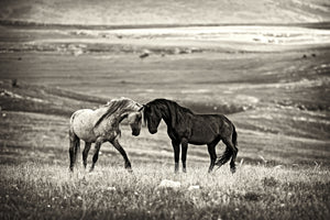 framedposter-print-close-encounter-x
