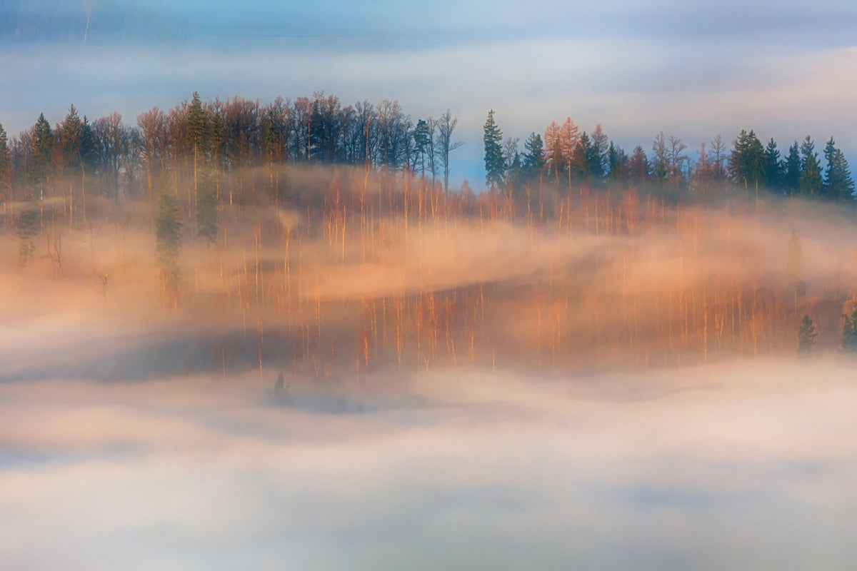 modern-3-piece-aluminium-print-in-the-morning-mists