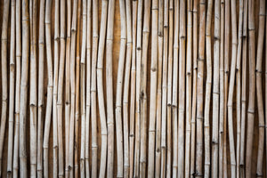 3-piece-canvas-print-dried-bamboos