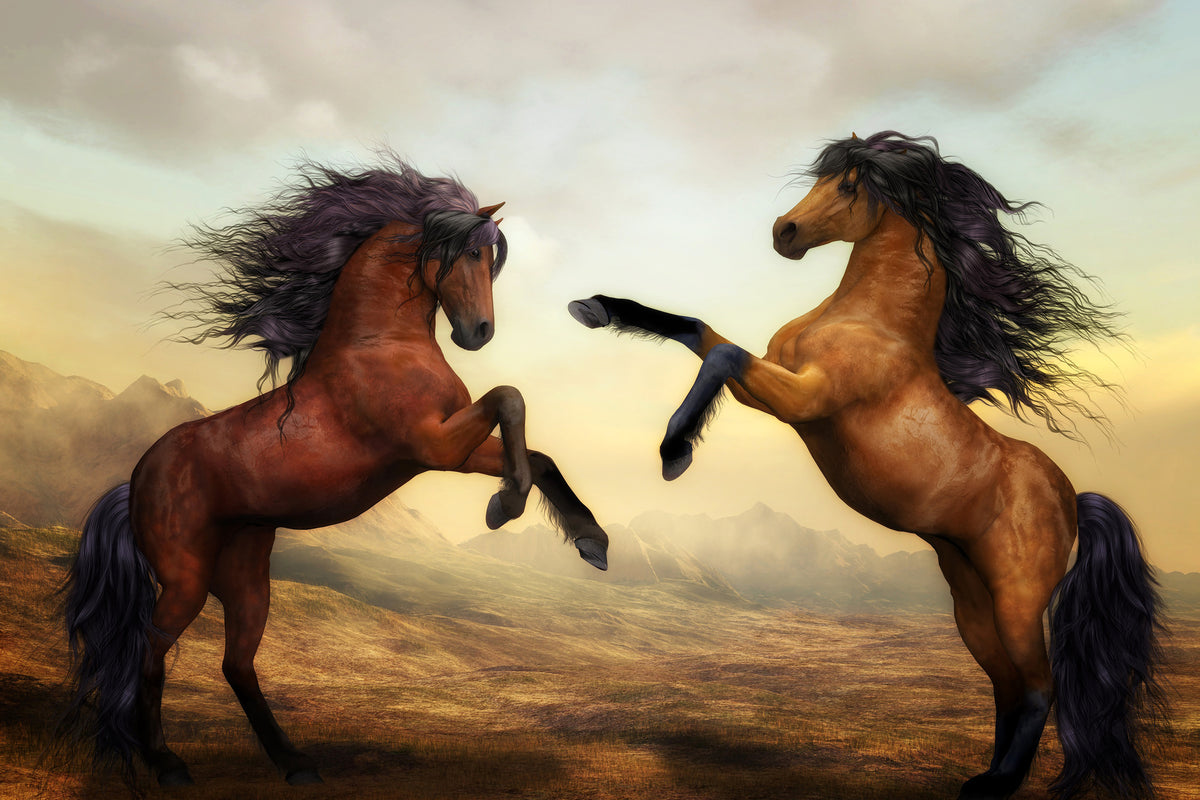 3-piece-canvas-print-two-wild-horses