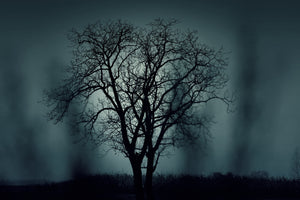 aluminium-print-the-tree-in-darkness