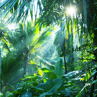 9-piece-aluminium-print-in-tropical-forest