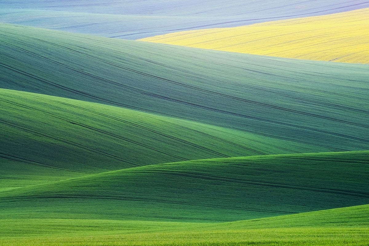 framedposter-print-lines