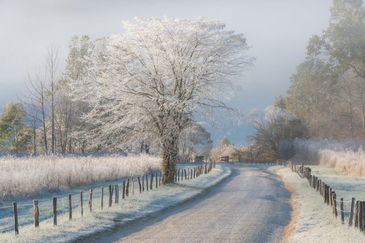 poster-print-a-frosty-morning