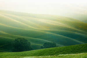 3-piece-canvas-print-tuscany
