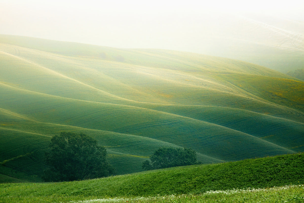 3-piece-canvas-print-tuscany