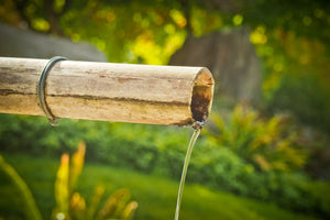 poster-print-the-bamboo-pipe