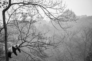 canvas-print-relax