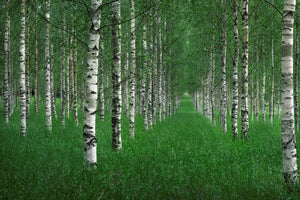 modern-3-piece-acrylic-print-the-tunnel