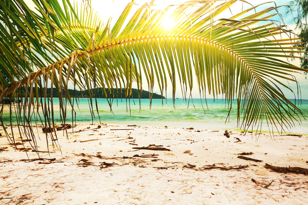 canvas-print-swing-out-of-the-hammock