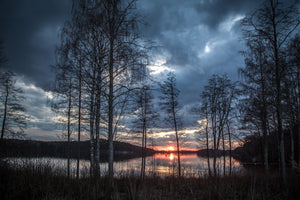 aluminium-print-trees-at-the-lake