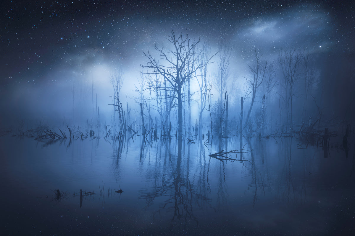 acrylic-print-stranger-things