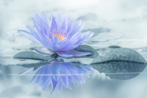 framedposter-print-reflection-xus