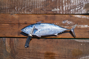 canvas-print-the-fresh-fish