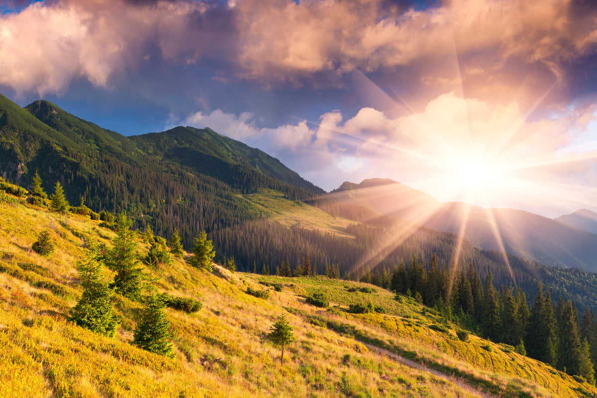 modern-3-piece-canvas-print-beginning-of-autumn