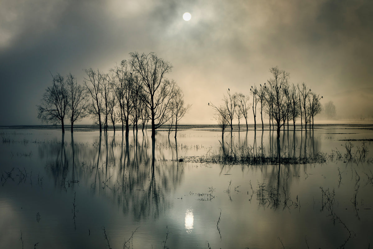 modern-3-piece-aluminium-print-lakes-secret