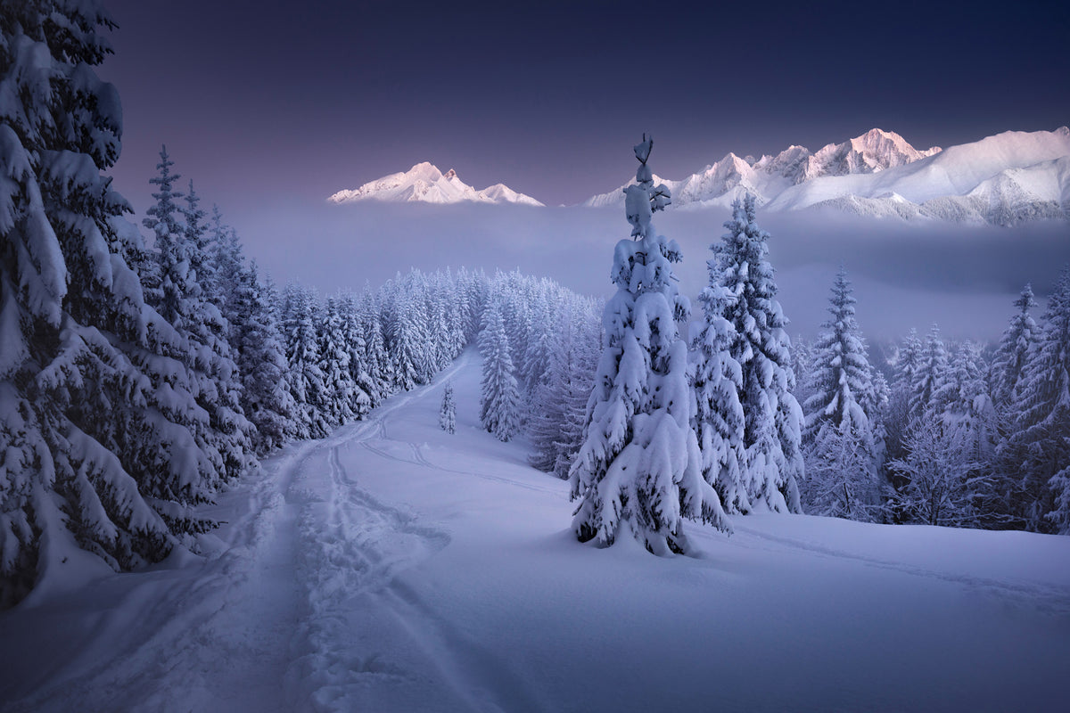 aluminium-print-in-the-winter-x