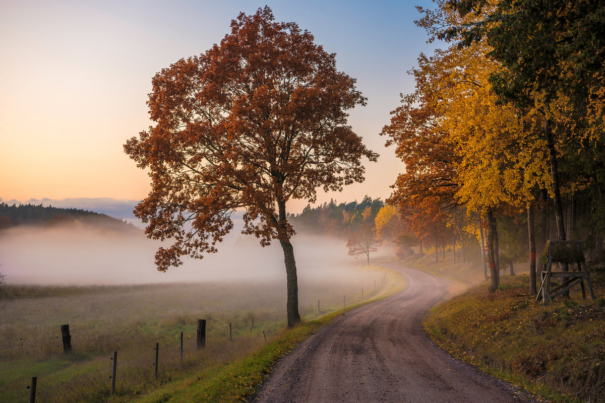 acrylic-print-countryside-vibes-x