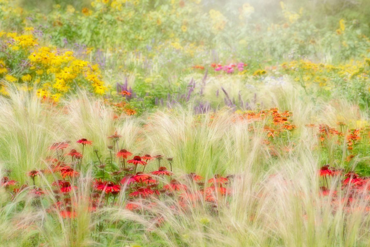 framedposter-print-summer-reverie-x
