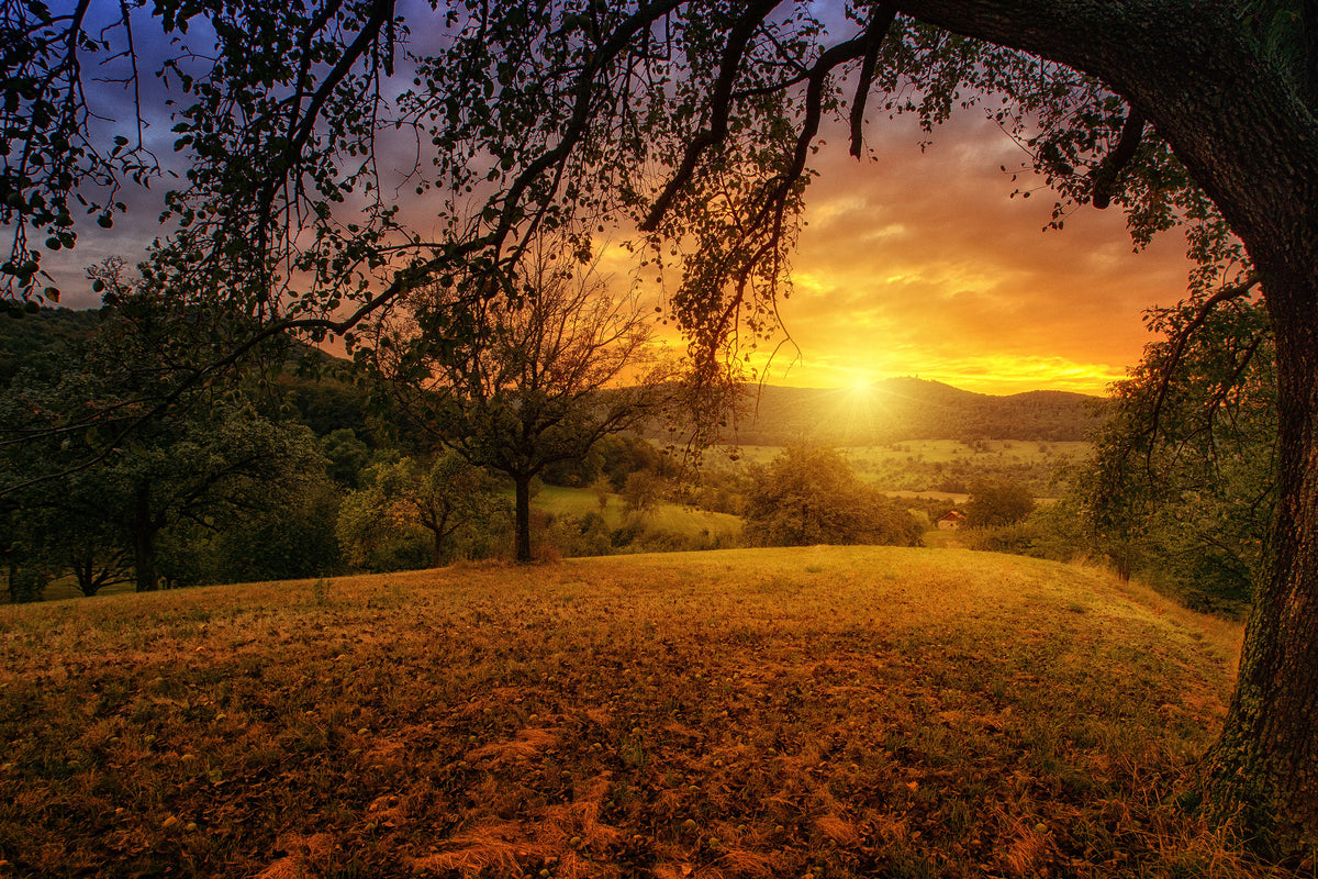modern-3-piece-aluminium-print-a-landscape-in-the-sunset